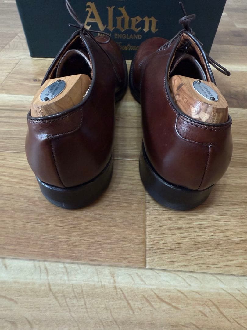 コ*マ様 ALDEN ANATOMICA 54443 V-TIP