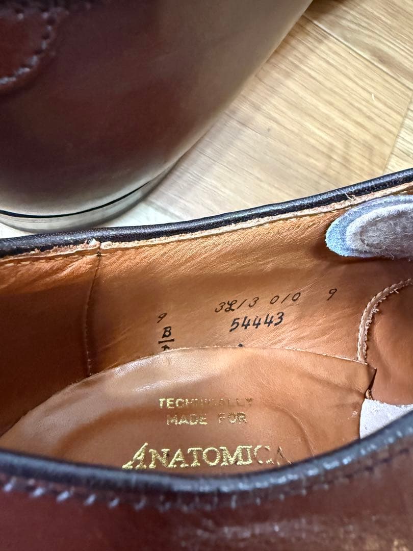 コ*マ様 ALDEN ANATOMICA 54443 V-TIP
