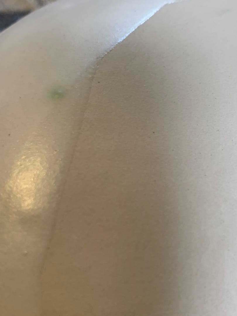 クリスチャンヌ・ペロション 初期 大判オーバル32cm 白系プレート　有元葉子