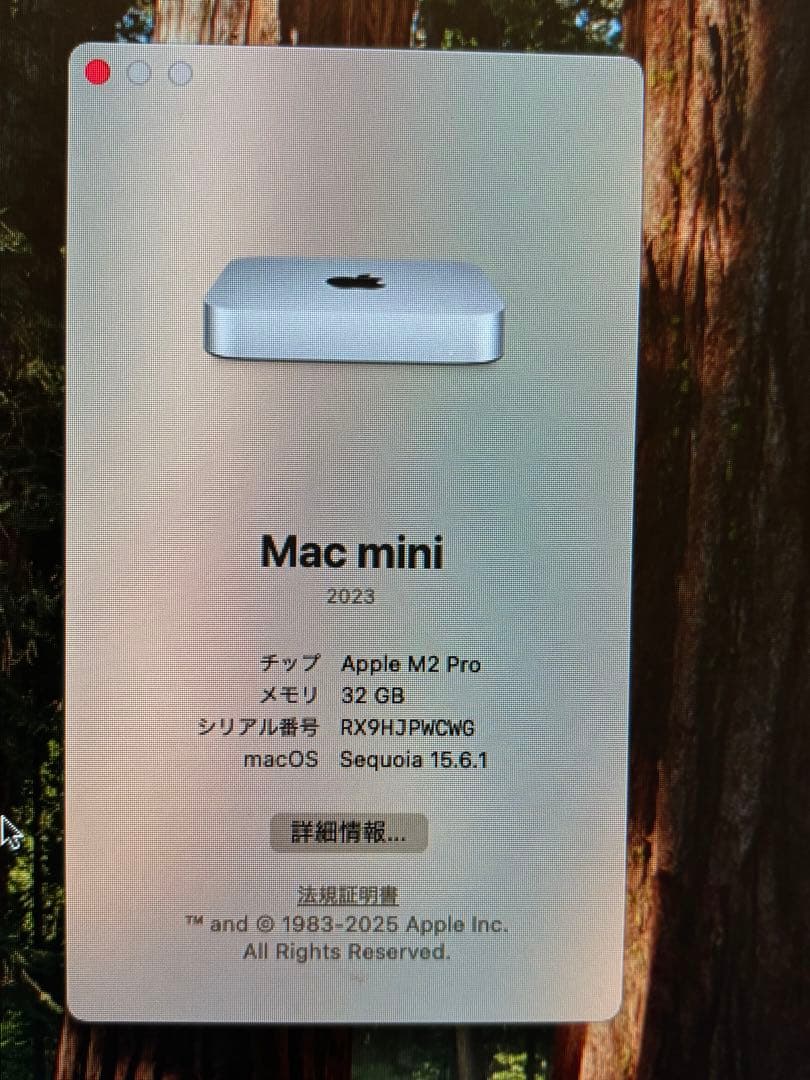 Macデスクトップ Mac mini M2 Pro 32GB