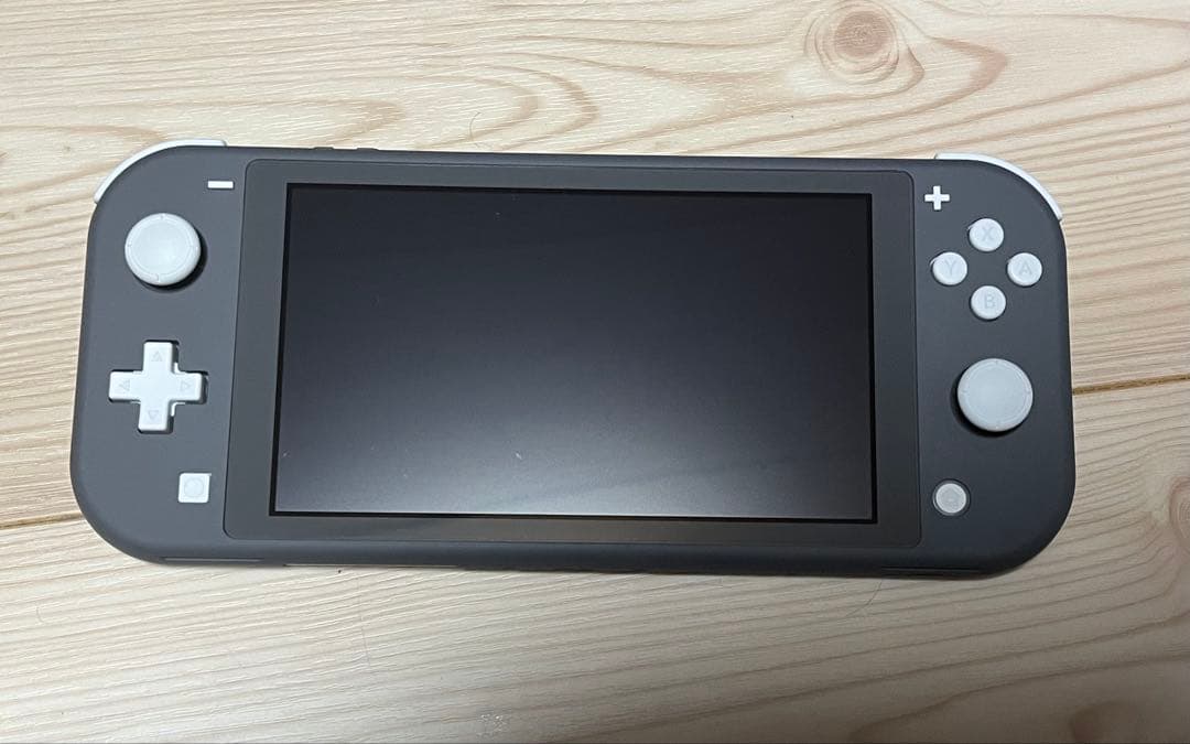 Nintendo Switch Lite グレー 本体&ケース