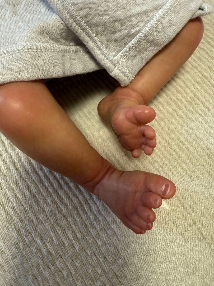 リボーンドール　プリミーちゃん