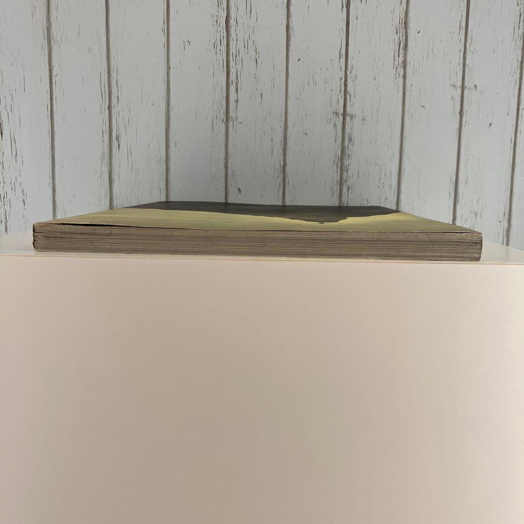 ブルースウェーバー O RIO DE  JANEIRO