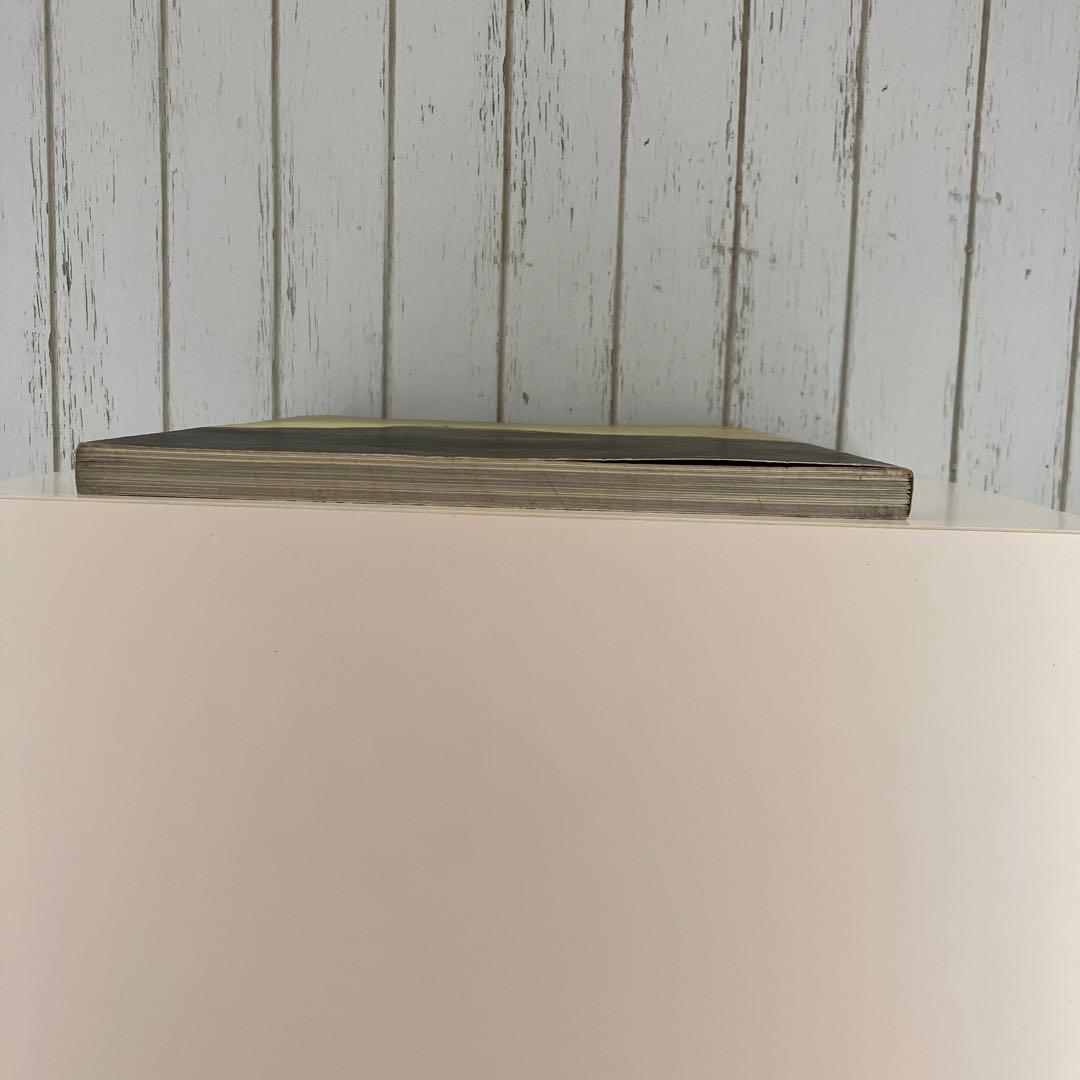 ブルースウェーバー O RIO DE  JANEIRO