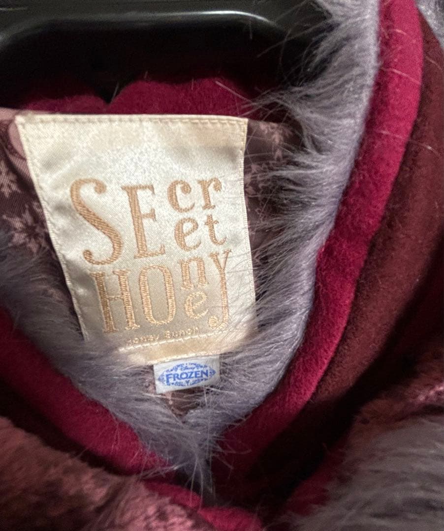 シークレットハニー⭐︎アナ雪/雪山アナコート