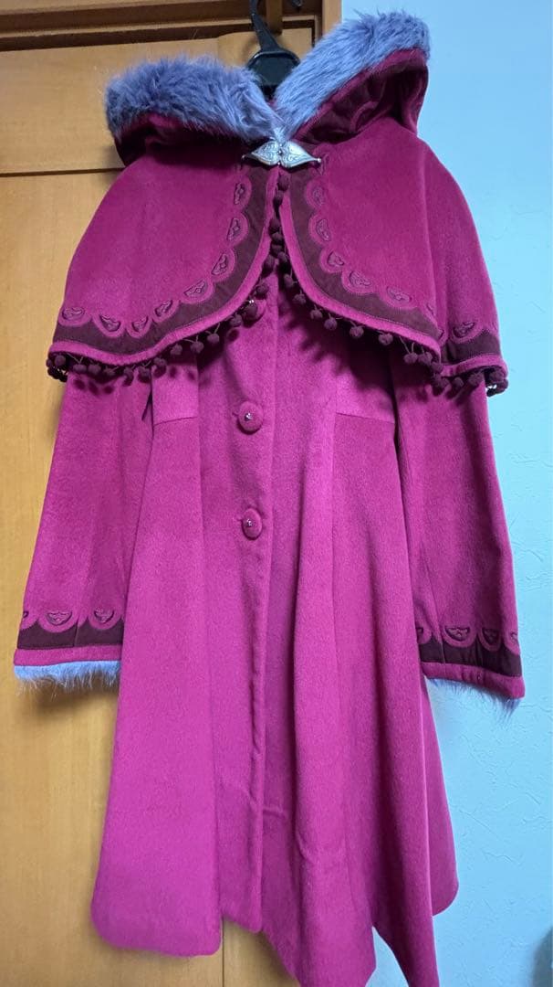 シークレットハニー⭐︎アナ雪/雪山アナコート