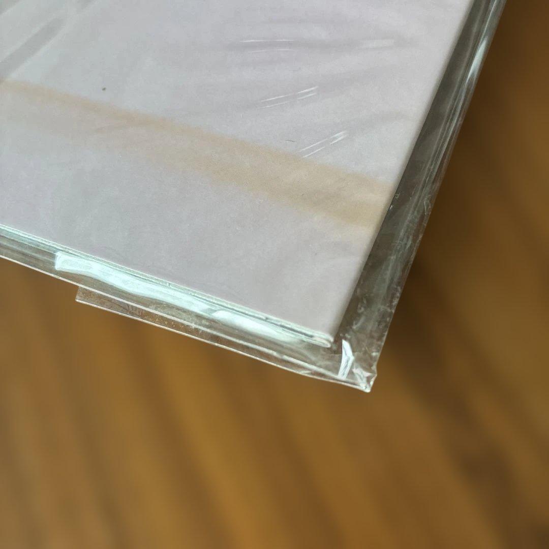 スピッツ　醒めない　アナログ　レコード　２LP