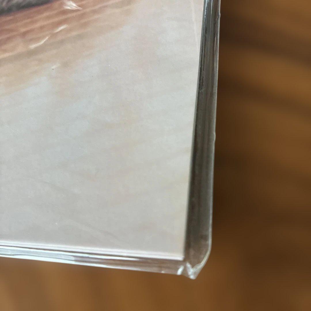 スピッツ　醒めない　アナログ　レコード　２LP