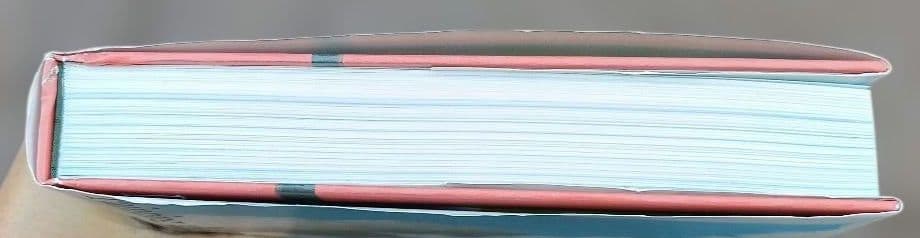 ◇スタジオジブリの美術 武重洋二◇ジブリ