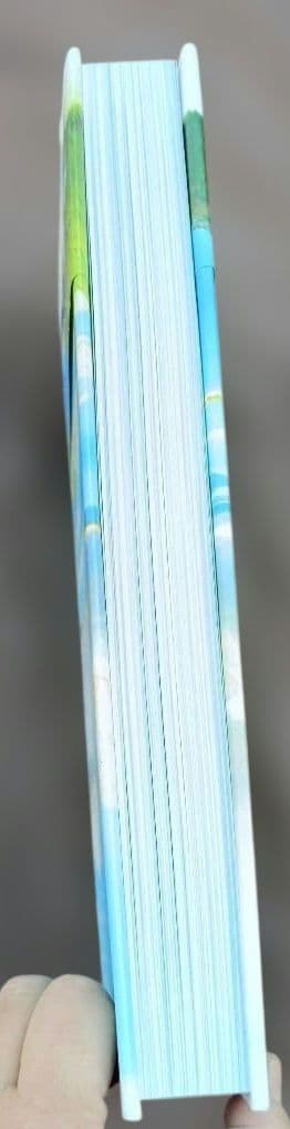 ◇スタジオジブリの美術 武重洋二◇ジブリ