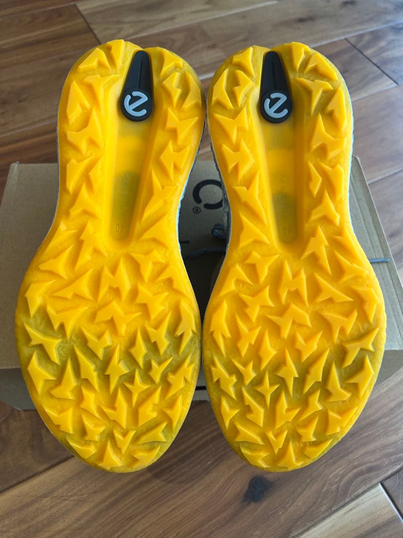 ECCO M GOLF BIOM H5 HYBRID EU40サイズ
