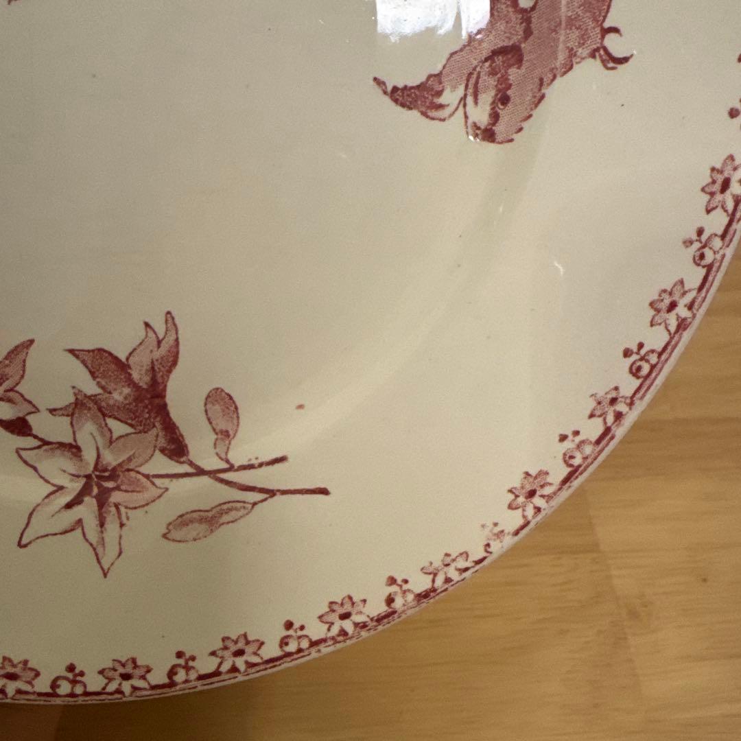 期間限定お値下げサルグミンヌFavoriシリーズ平皿