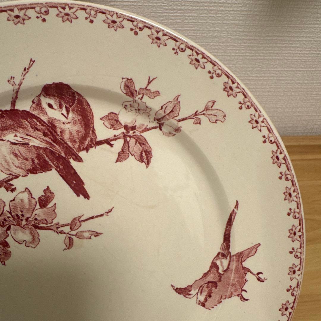 期間限定お値下げサルグミンヌFavoriシリーズ平皿