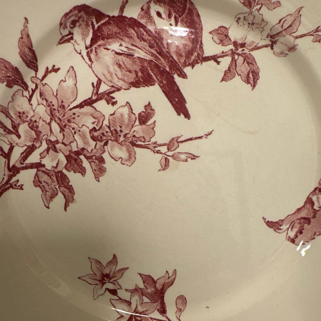 期間限定お値下げサルグミンヌFavoriシリーズ平皿