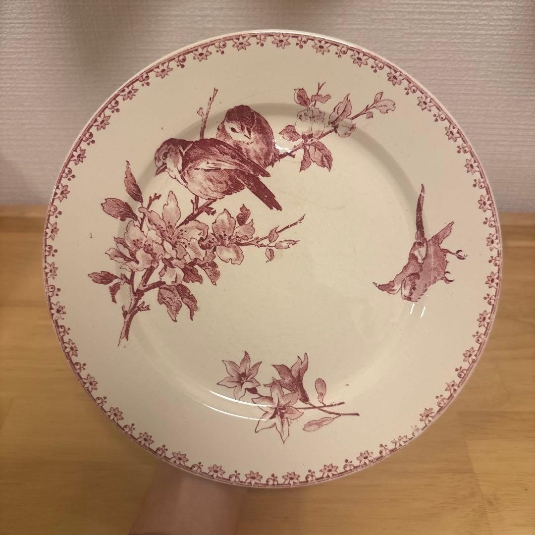 期間限定お値下げサルグミンヌFavoriシリーズ平皿