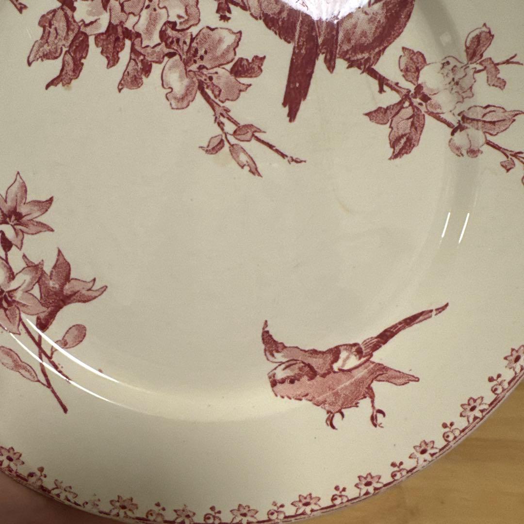 期間限定お値下げサルグミンヌFavoriシリーズ平皿