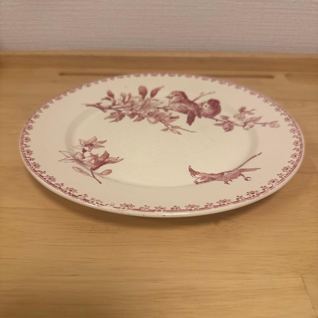 期間限定お値下げサルグミンヌFavoriシリーズ平皿