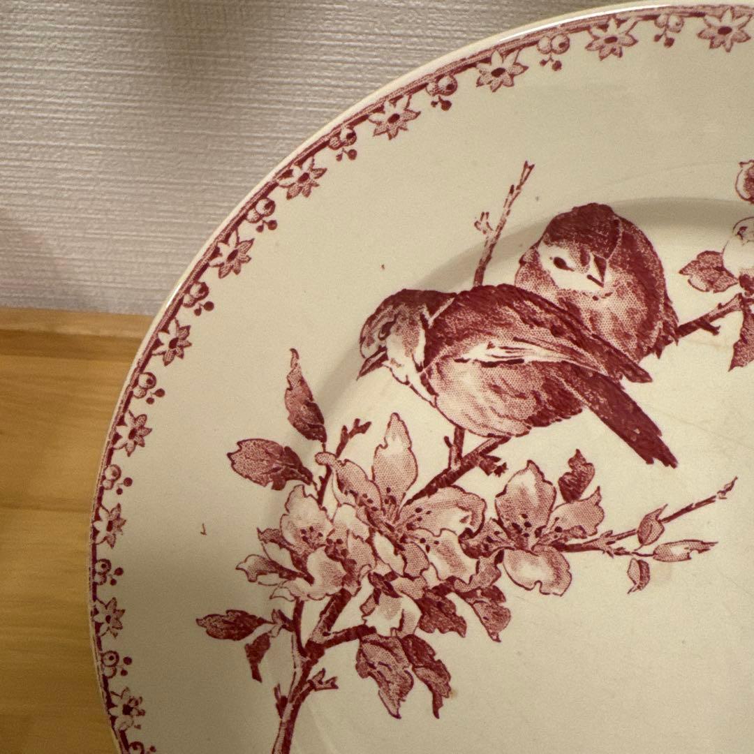 期間限定お値下げサルグミンヌFavoriシリーズ平皿