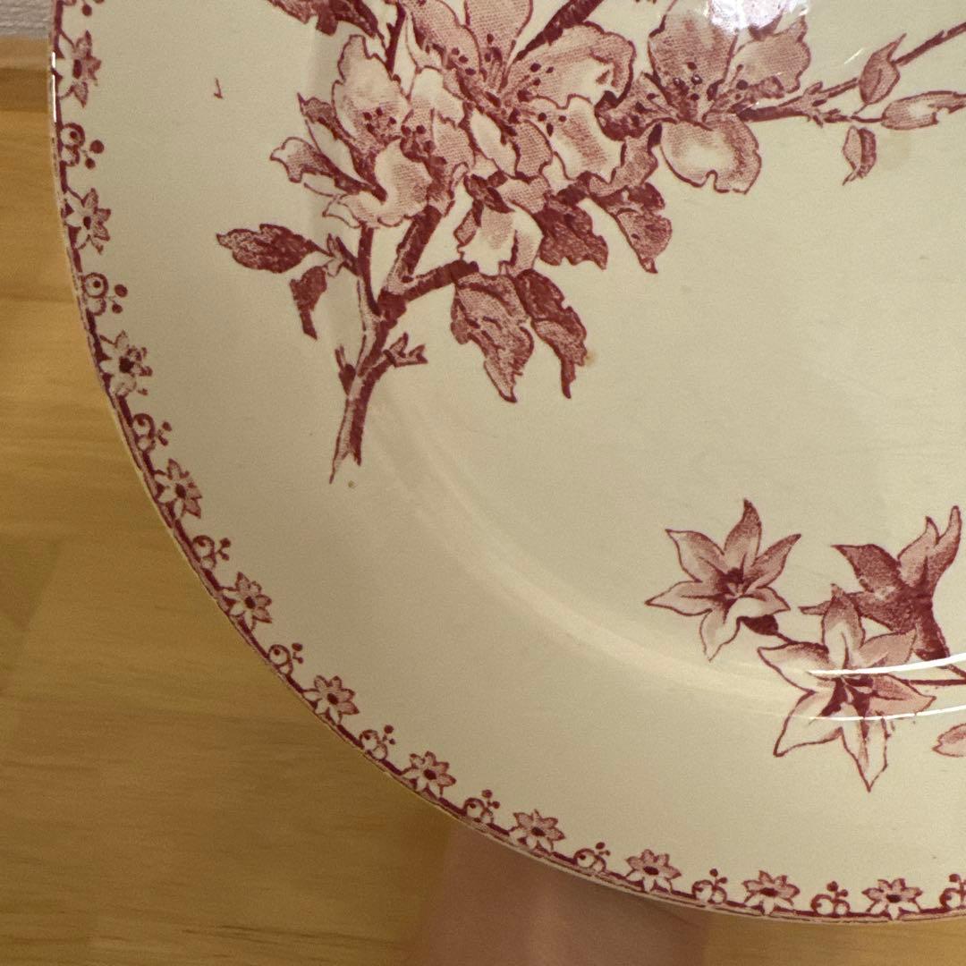 期間限定お値下げサルグミンヌFavoriシリーズ平皿