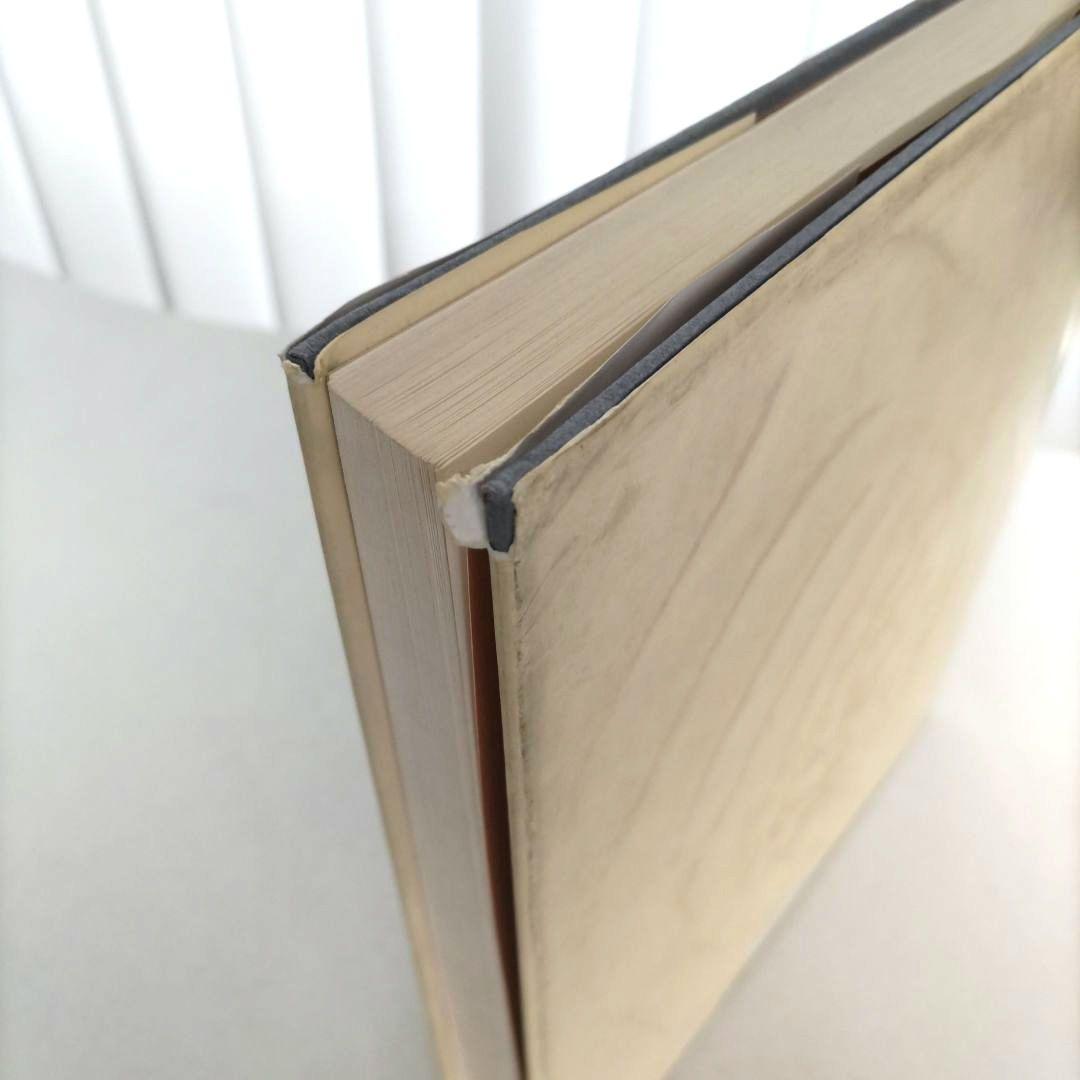 Horst Janssen/ホルスト・ヤンセン 作品集 絵画 アート 洋書