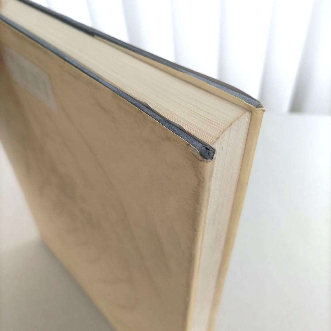 Horst Janssen/ホルスト・ヤンセン 作品集 絵画 アート 洋書