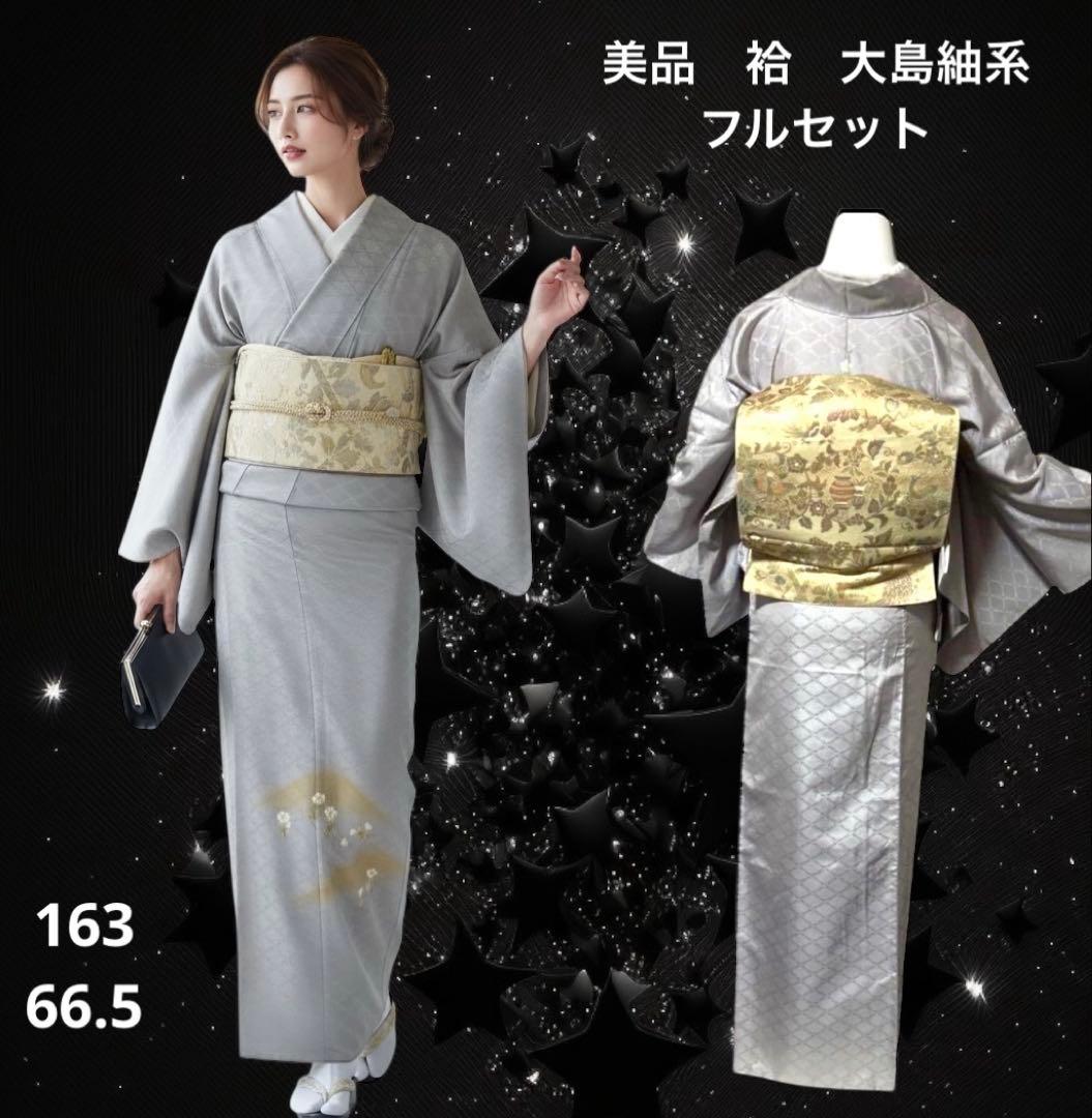 ち*ー様 未使用近い　美品　袷　正絹　大島紬系　白山紬系　紋付　訪問着　フルセッ