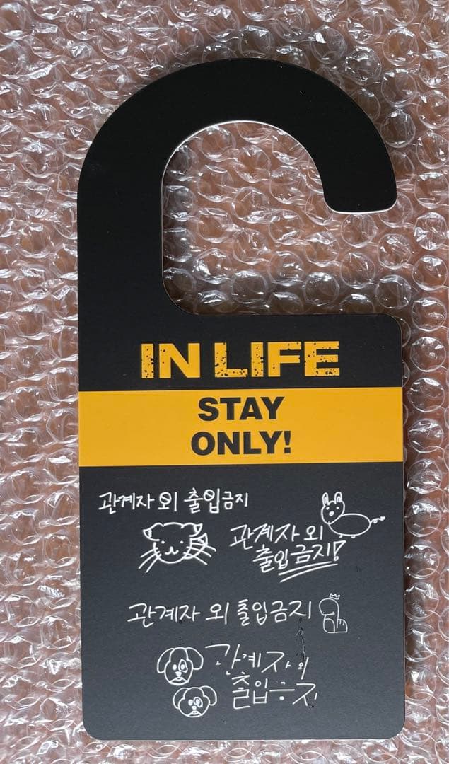 Stray Kids IN生 限定盤　アルバム　CD