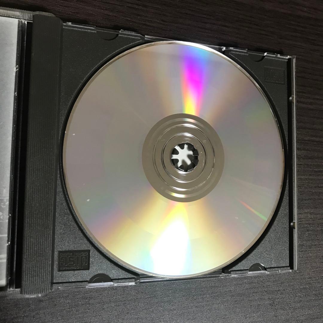 洋楽 Decollation/cursed land