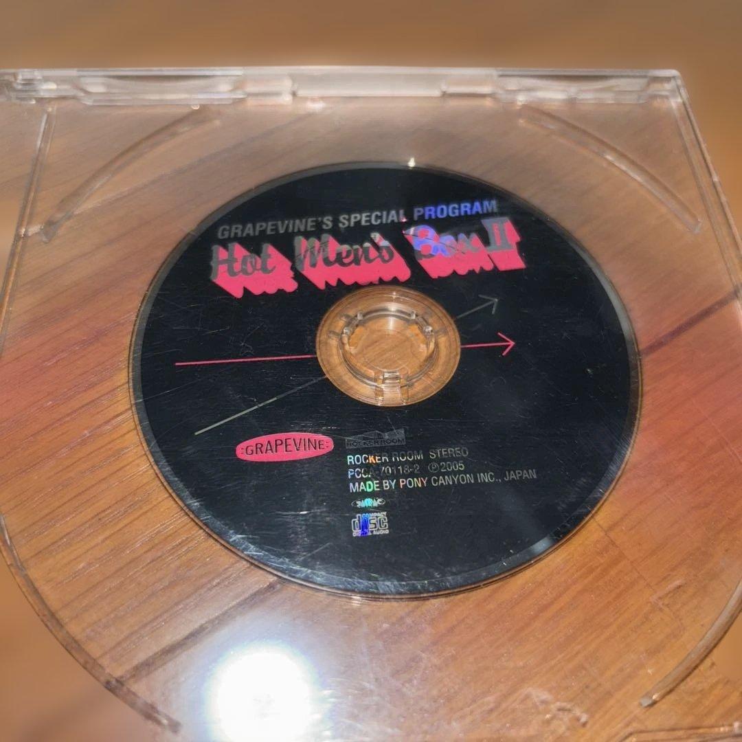GRAPEVINE CD・DVD 19点セット 非売品プロモCD2枚含む