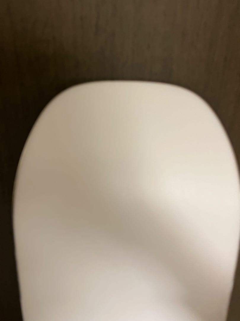 BURTON フライングv PROCESS FLYING V パンダ