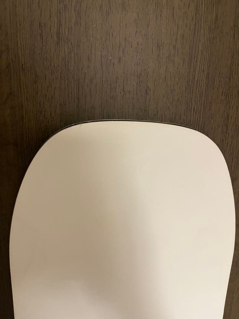 BURTON フライングv PROCESS FLYING V パンダ