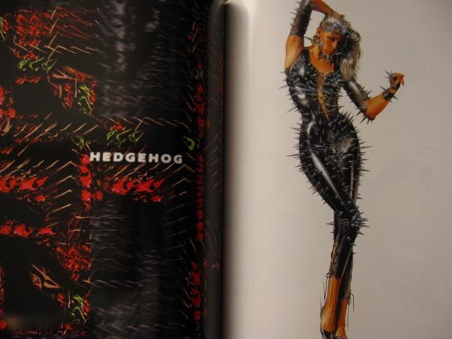THE GYNOIDS reborn HAJIME SORAYAMA　直筆サイン