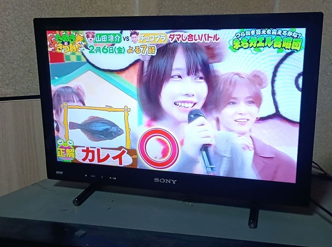 SONY KDL-22EX42H 22インチ液晶テレビ HDD内蔵