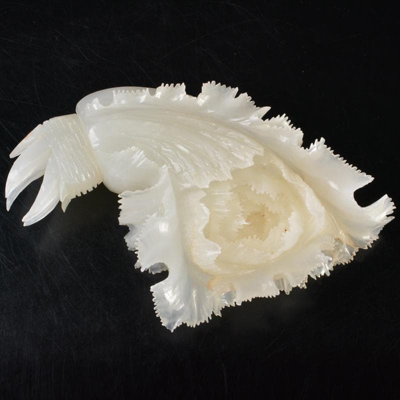 中国　玉石白玉彫刻　白菜　置物　唐木台付　V　R7211B