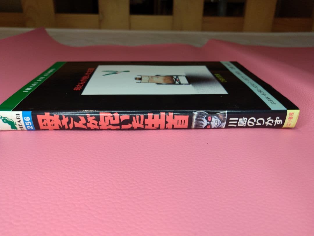 母さんが抱いた生首 川島のりかず