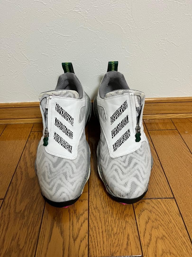 adidas コードカオス ボア 25 / ゴルフシューズ