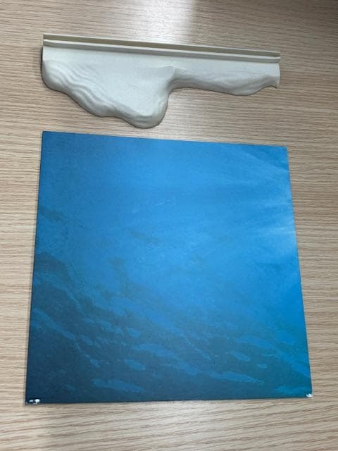 年始セール★SWAROVSKI 会員限定 ワンダーオブザシー エタニティー 亀