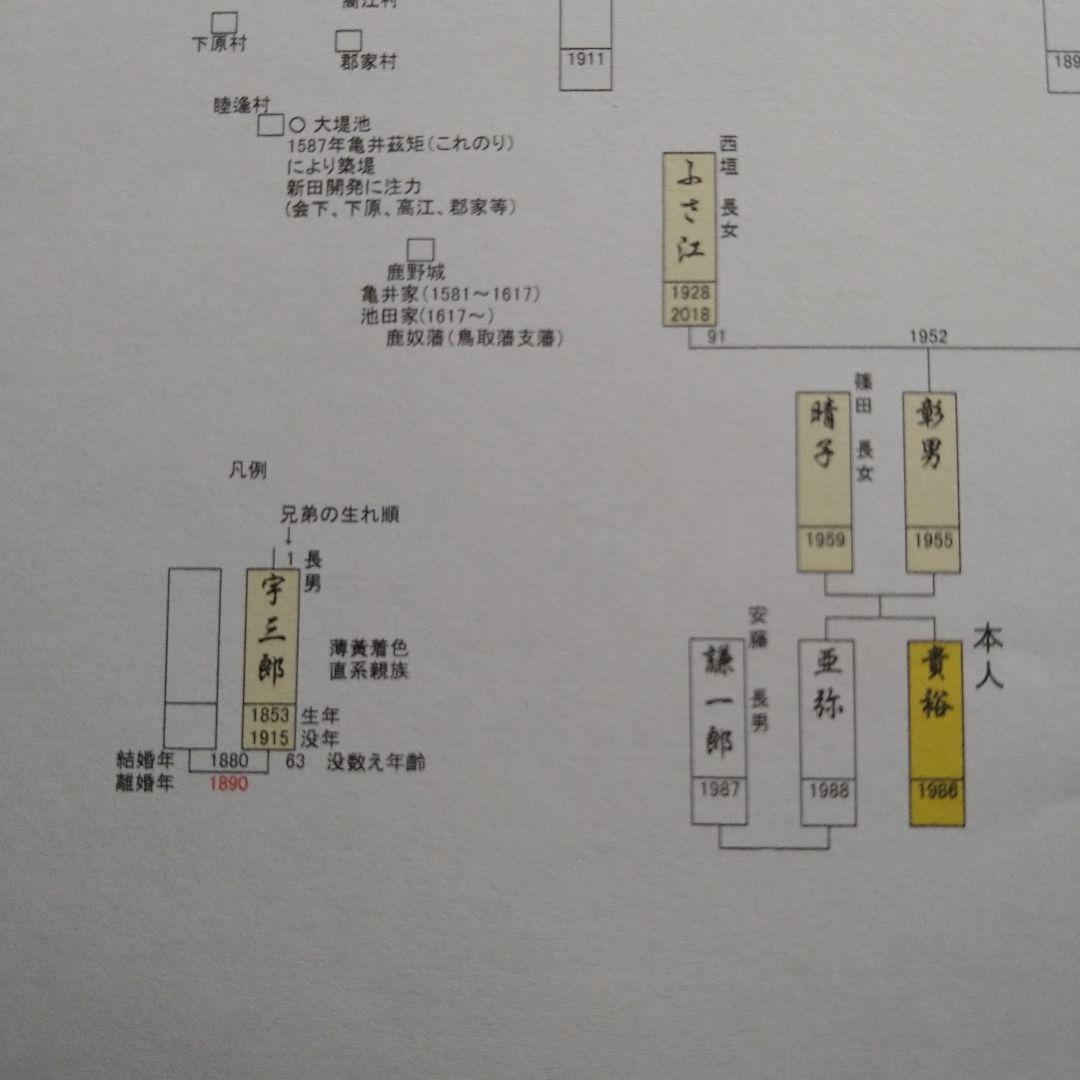 家系図作成　　4系統