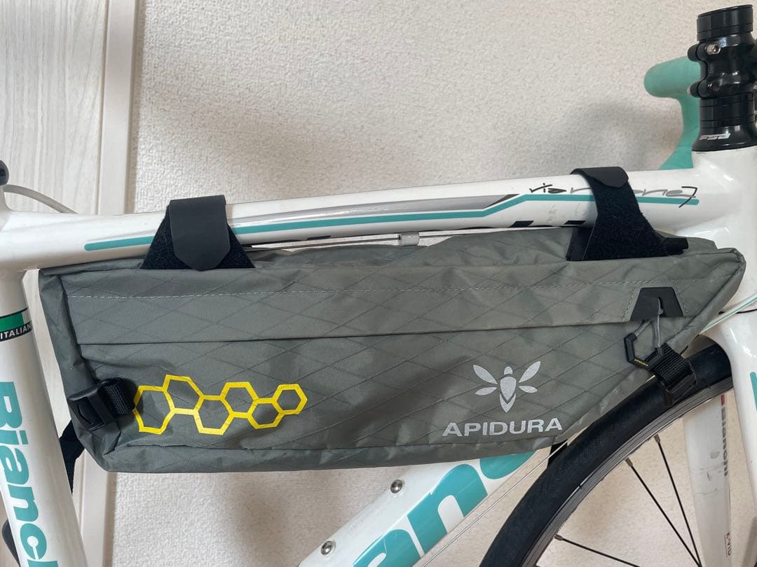APIDURA フレームバック