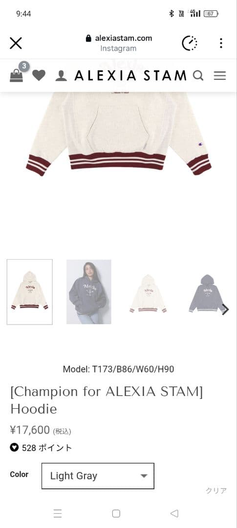 新品未開封☆Champion for ALEXIA STAM Hoodie