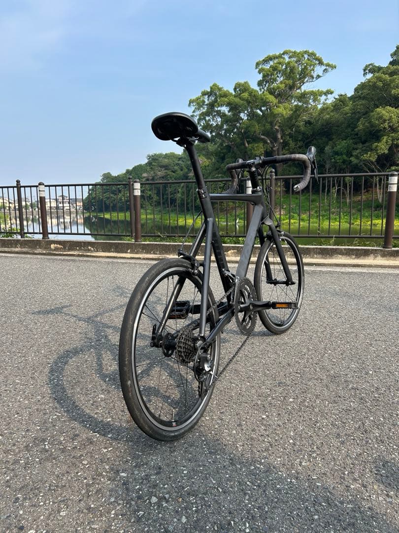 (ともさーもん様)ターン ternサージュ surge 韋駄天 シュワルベワン