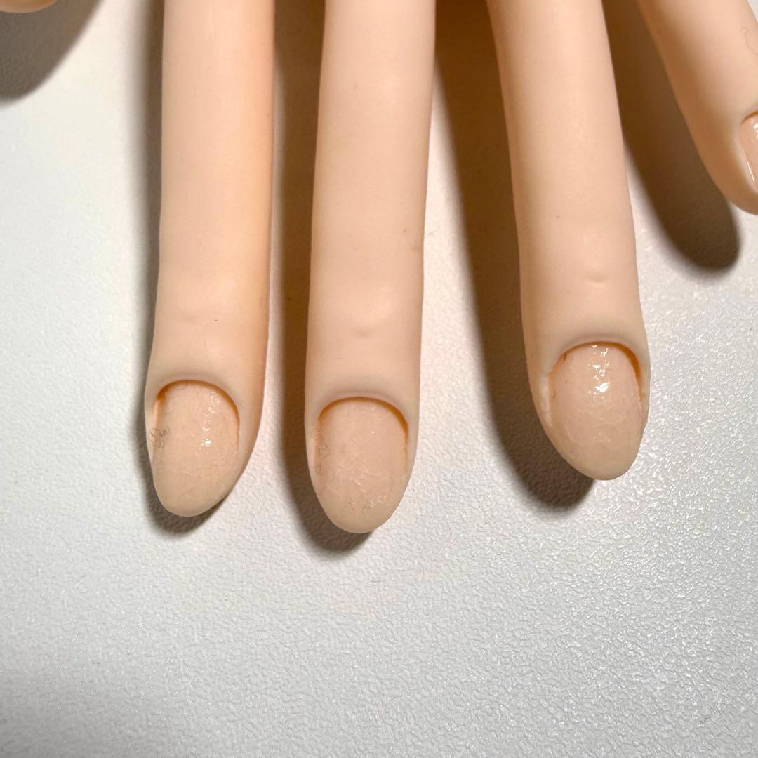 【美品】JNEC 認定モデルハンド 両手