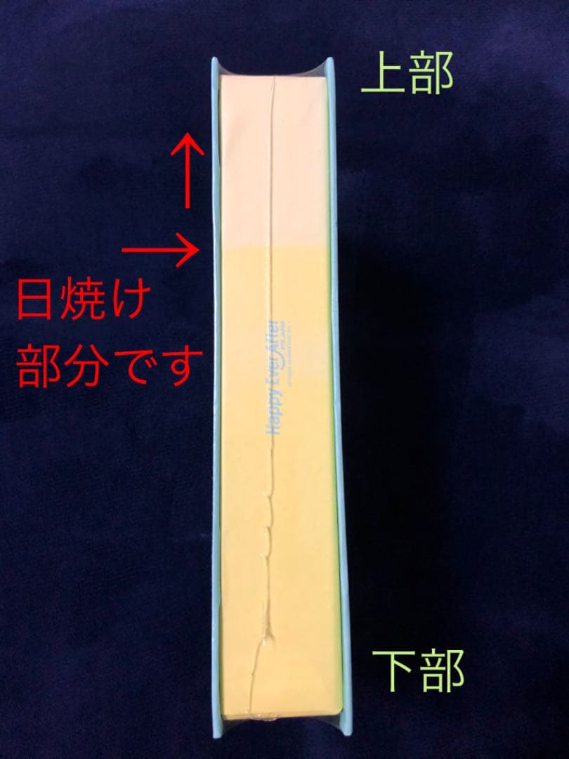 BTS 『Happy Ever After 』日本公演DVD