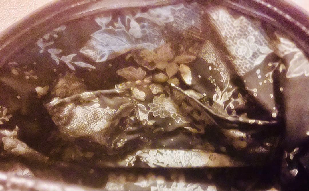 Swany レース装飾 キャリーケース