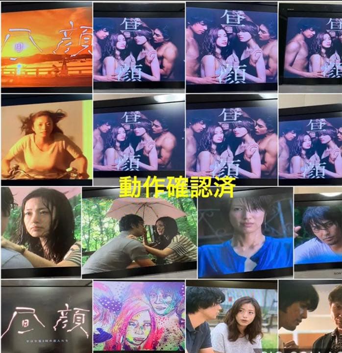 【送料無料】昼顔 TVシリーズ & 劇場版 DVD 全巻セット 上戸彩 斎藤工