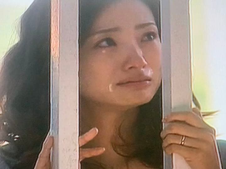 【送料無料】昼顔 TVシリーズ & 劇場版 DVD 全巻セット 上戸彩 斎藤工