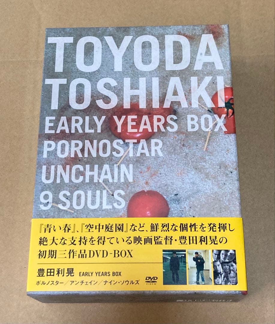 豊田利晃 EARLY YEARS BOX 廃盤DVD フォトカード付き