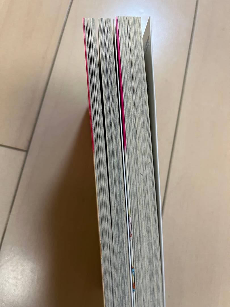 【中山 紗良】おいしい恋の作りかた + 帰ってきた初恋