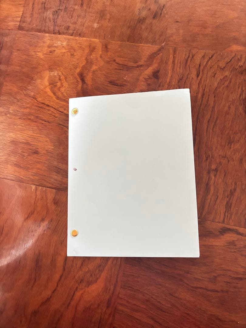 サイン入り写真と映画脚本のセット　超希少　マイケルマン　ヒート　デニーロサイン