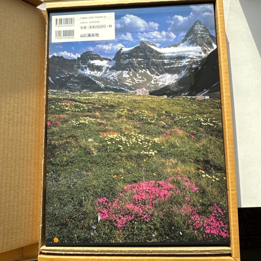 白旗史朗ロッキーマウンテン